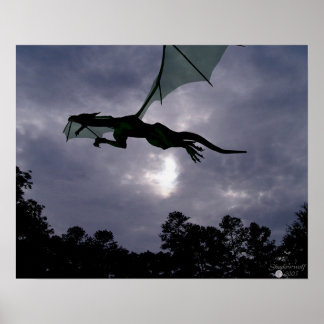 Póster Voo Dragão
