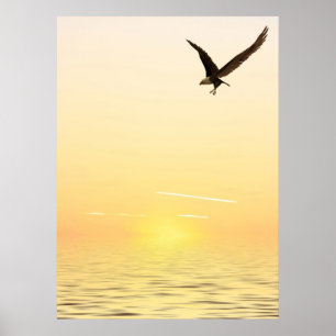 Poster Vôo Eagle