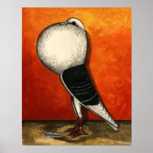 Póster Voorburg Cropper Pigeon Blue Check
