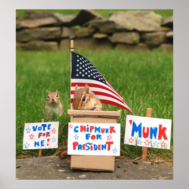 Póster Vota Munk! Pôster (Frente)
