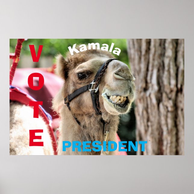 Poster Votação (Frente)