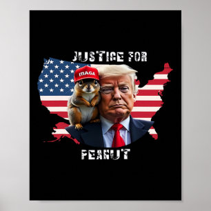 Poster Votar Trump No Peanut, Esquilo 4