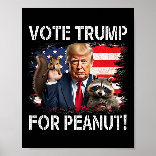 Poster Votar Trump No Peanut O Esquilo 2 (Frente)