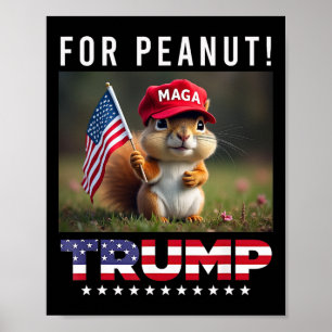 Poster Votar Trump Para O Amendoim O Trump De Esquilo 202