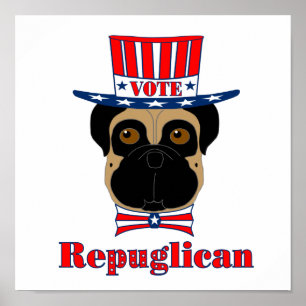 Póster Voto Repuglican