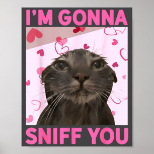 Poster Vou Cheirar Você Meme de Gatos Engraçados com Cére