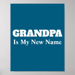 Poster Vovô é Meu Novo Nome