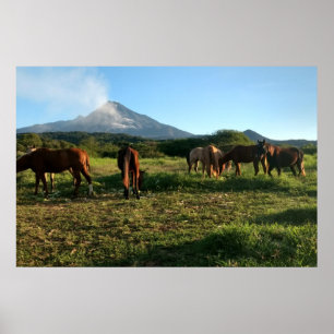 Poster Vulcão, Cavalos, Montanha, Paisagem