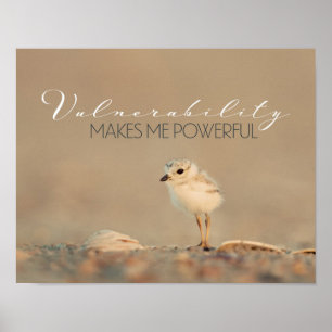 Póster Vulnerabilidade