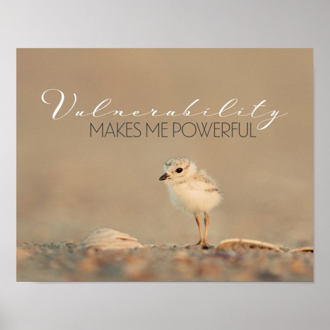 Póster Vulnerabilidade (Frente)