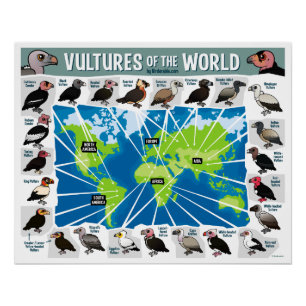 Póster Vultos do Mapa Mundial