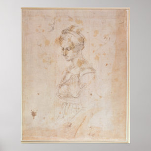 Póster W.41 Desenho de uma mulher