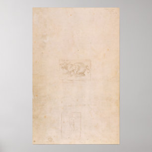 Póster W.54 Estudo de um dragão