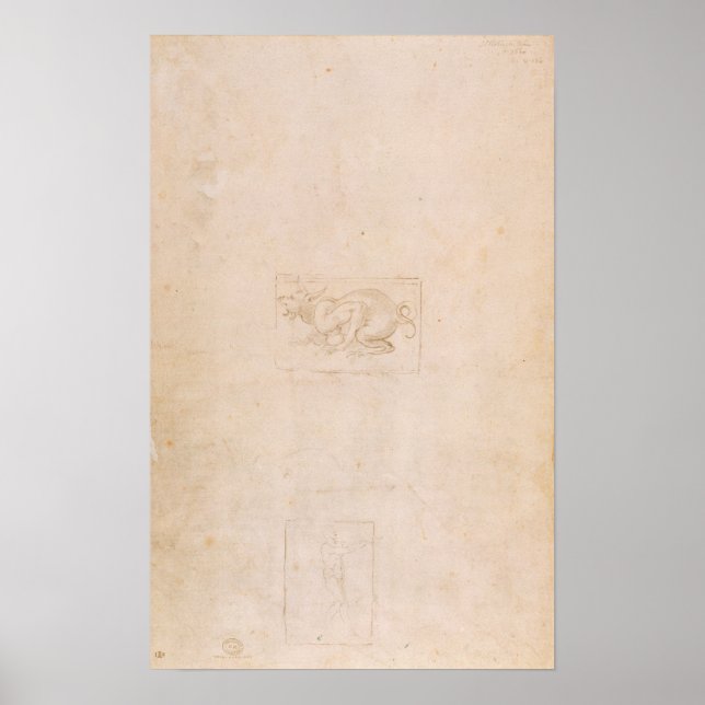 Póster W.54 Estudo de um dragão (Frente)