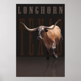 Poster w/Text -40x60 do poder de Longhorn - ou