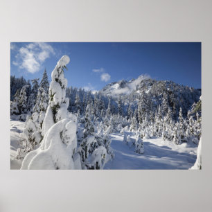 Póster WA, Alpine Lakes Wilderness, bacia do Snow Lake