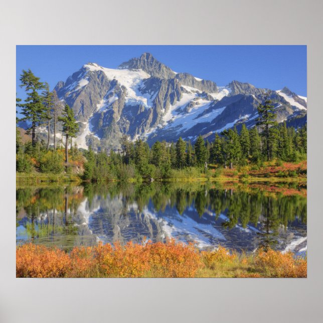 Póster WA, Área de Recreação Heather Meadows, Mt. (Frente)