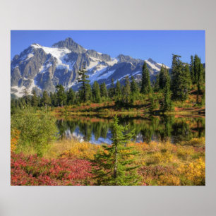 Póster WA, Área de Recreação Heather Meadows, Mt. 2