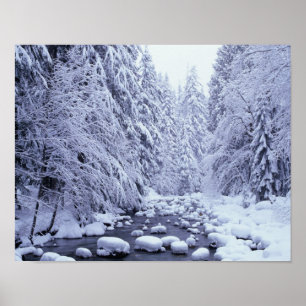 Póster WA, Floresta Nacional Mount Baker-Snoqualmie,