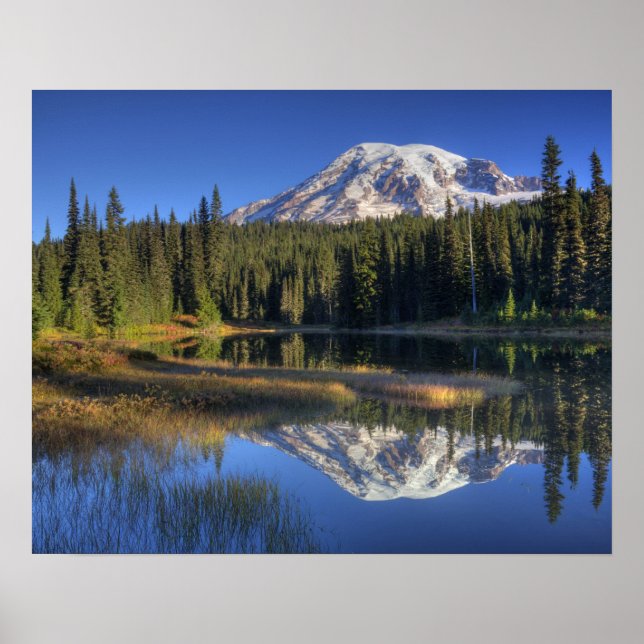 Poster WA, Monte Rainier National Park, Monte Rainier (Frente)