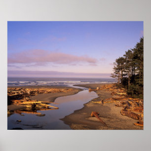 Póster WA, Olimpiadas NP, Kalaloch Beach e Kalaloch