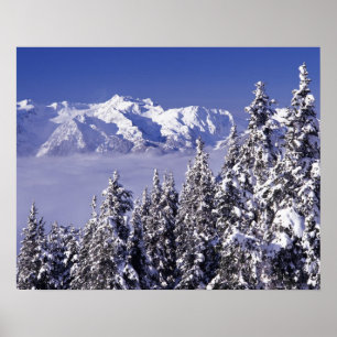 Póster WA, Olimpiadas NP, Olimpiadas Mountain Range, view