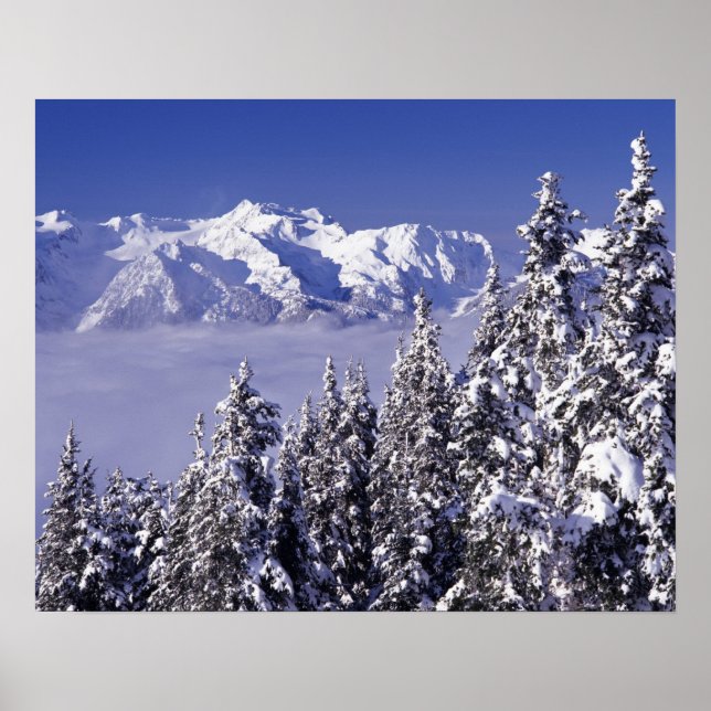 Póster WA, Olimpiadas NP, Olimpiadas Mountain Range, view (Frente)