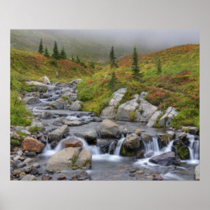 Póster WA, Parque Nacional Mt. Rainier, Edith Creek