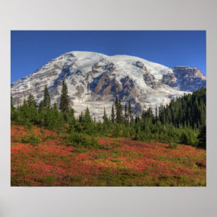 Poster WA, Parque Nacional Mt. Rainier, Vale do Paraíso