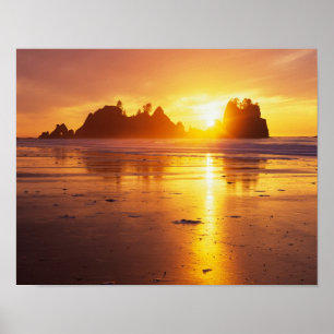 Póster WA, Parque Nacional Olímpico, praia Shi Shi ao pôr