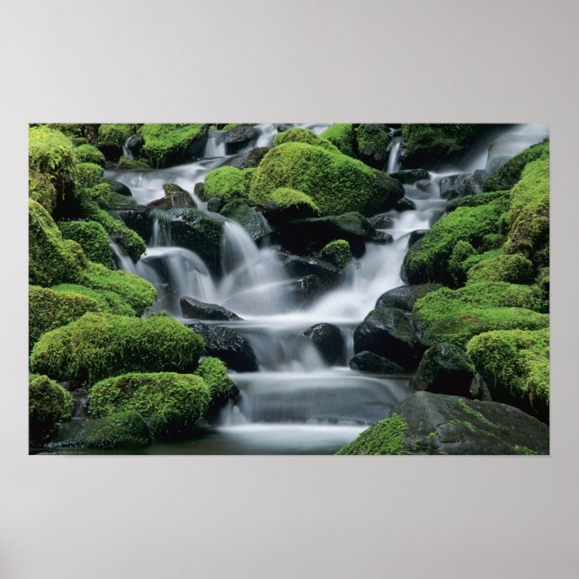 Poster WA, Parque Nacional Olímpico, Vale de Sol Duc, ria (Frente)