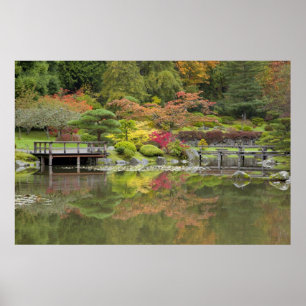 Póster WA, Seattle, Arboreto do Parque Washington, 3