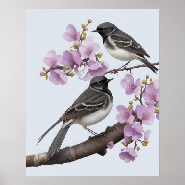 Poster Wagtail Bird (Frente)