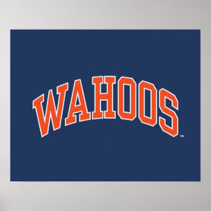 POSTER WAHOOS