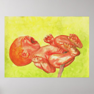 Póster Wailer recém-nascido do bebê