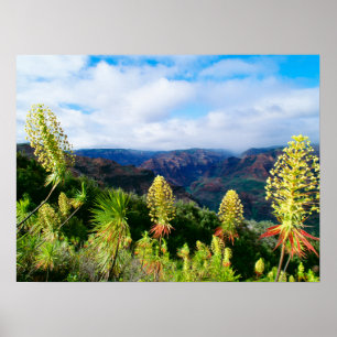 Poster Waimea Canyon Kauai, Havaí