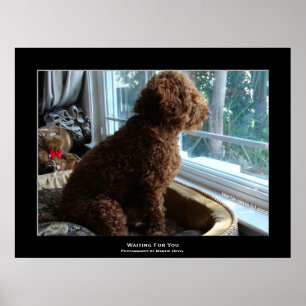 Poster "Waiting For You"