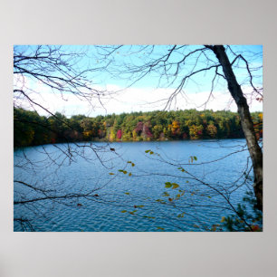 Poster Walden Pond in the Fall