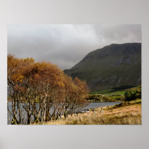 PÓSTER WALES