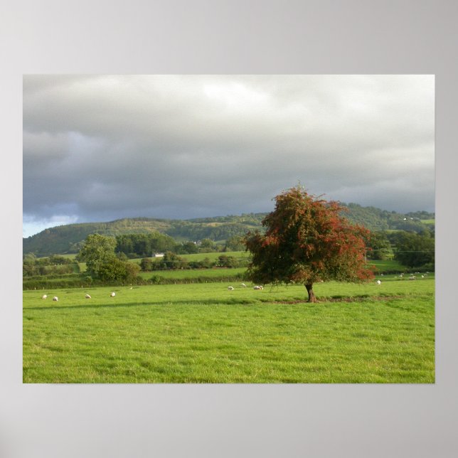 Poster Wales Tree (Frente)