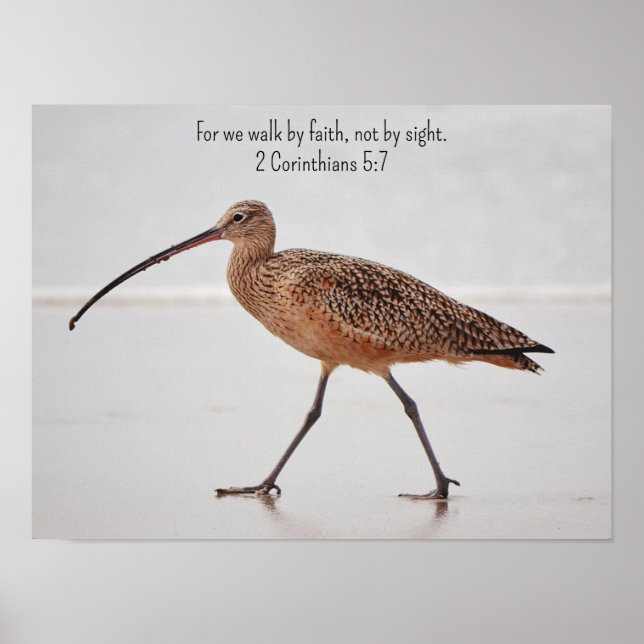 Poster Walking Beach Bird e Bíblia Verse Art (Frente)