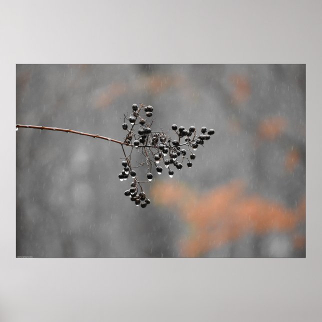 Poster Wall Art (Frente)