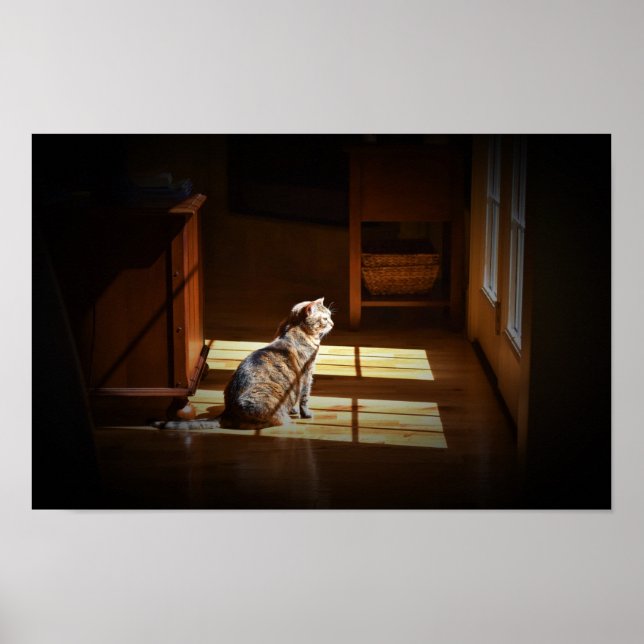 Poster Wall Art (Frente)