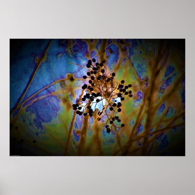 Poster Wall Art (Frente)