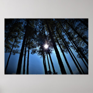 Poster Wall Art