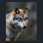 Poster Wall Art &decor<br><div class="desc">This image was used by Author Selene Dacario to depict one of the werewolves in her debut novel The Betrayal</div>