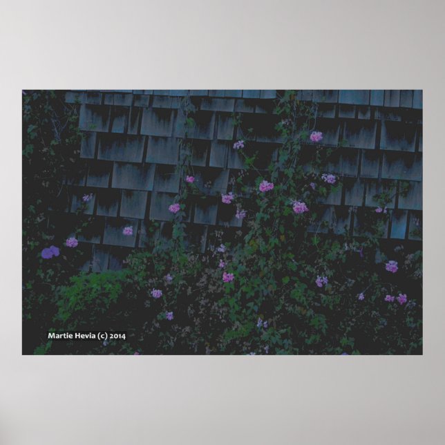 Póster Walllows (Frente)