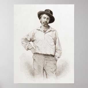 Poster Walt Whitman Engraving