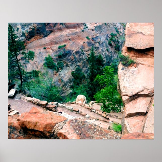 Poster Walters Wiggles Zion National Park Utah (Frente)