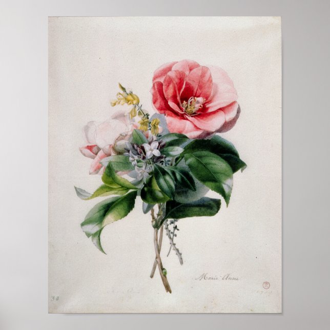 Póster wamellia e Broom (Frente)